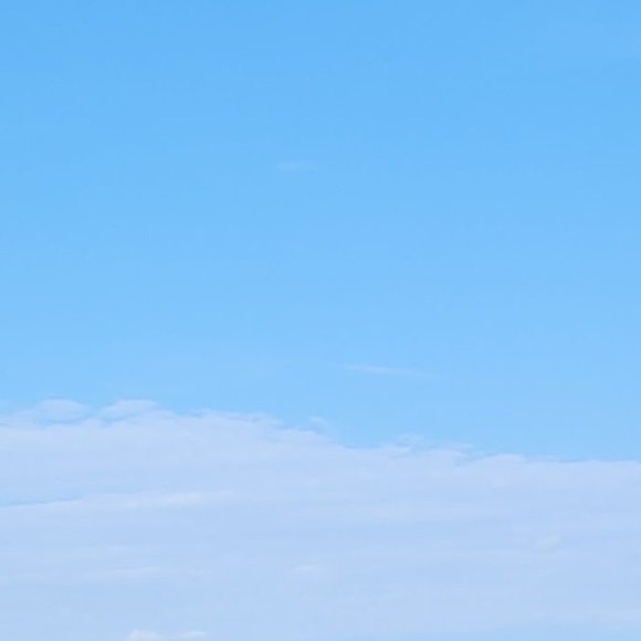 Meet your Posher, G - Picture 1 of 1